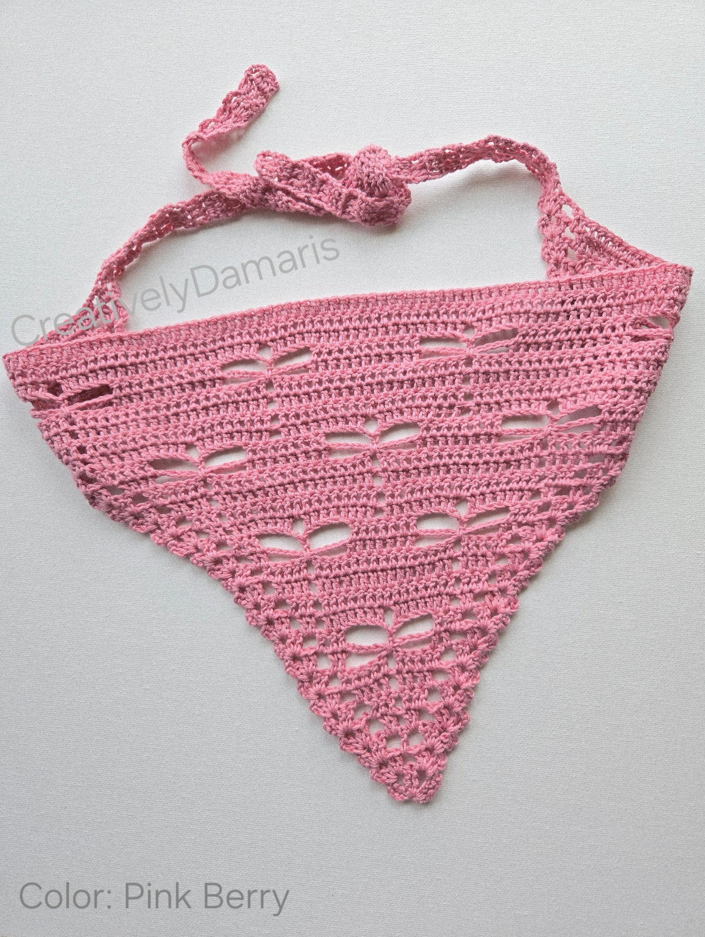 Dragonflies Crochet Headband/Bandana